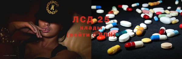 ПСИЛОЦИБИНОВЫЕ ГРИБЫ Алексеевка