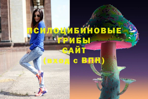 мет Алексин