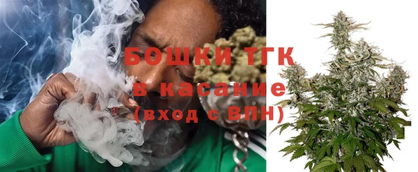 мет Алексин