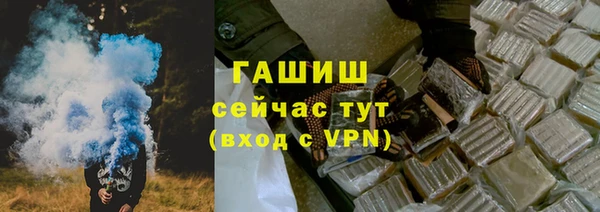 мет Алексин